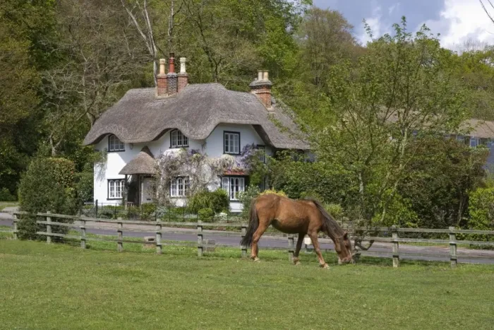 Framed Print : Thatched cottage and pony, New Forest, Hampshire, England, United Kingdom, Europe Framed Print : Thatched cottage and pony, New Forest, Hampshire, England, United Kingdom, Europe