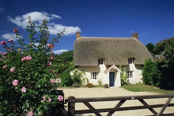 Thatched cottage with roses by the gate at West Lulworth, Dorset, England