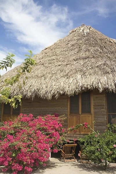 Thatched cottage at The Turtle Inn, Francis Ford-Cappolas beach front hotel