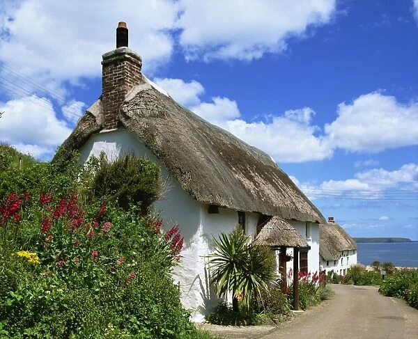 Thatched cottage on a village street in Cornwall, England, United Kingdom, Europe