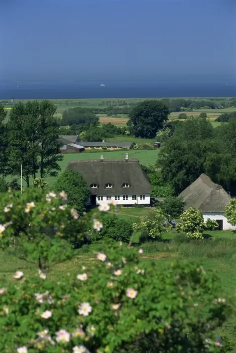 Framed Print : Thatched cottages and farmland, Aero Island, Denmark, Scandinavia, Europe Framed Print : Thatched cottages and farmland, Aero Island, Denmark, Scandinavia, Europe