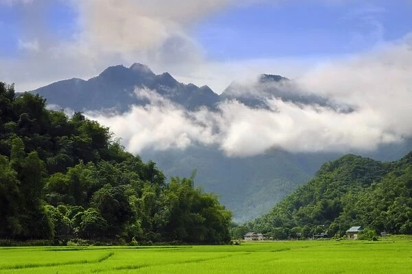 Thatched cottages and rice paddy fields with misty mountains behind, Mai Chau, Vietnam