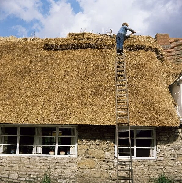 Thatching at The George, Stanton St. John, Oxfordshire, England, United Kingdom, Europe