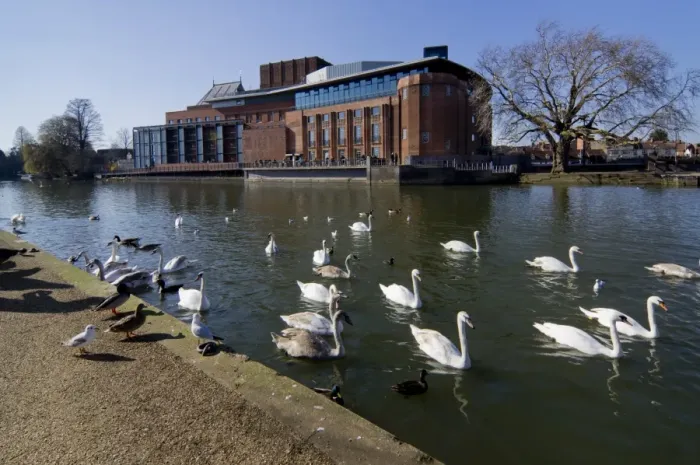 Framed Print : Theatre and swans on the River Avon, Stratford upon Avon, Warwickshire, England, United Kingdom, Europe Framed Print : Theatre and swans on the River Avon, Stratford upon Avon, Warwickshire, England, United Kingdom, Europe