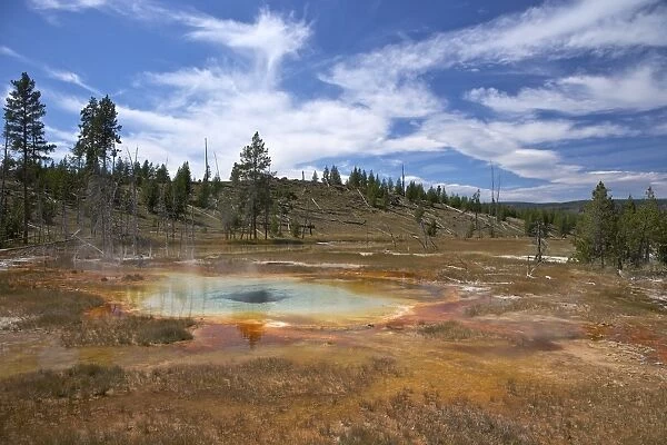 Thermal springs, Upper Geyser Basin, Yellowstone National Park, UNESCO World Heritage Site, Wyoming, United States of America, North America