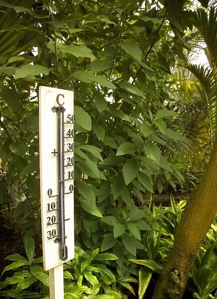 Thermometer showing 30 degrees celsius, interior of Palm House, Kew Gardens