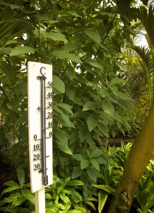 Framed Print : Thermometer showing 30 degrees celsius, interior of Palm House, Kew Gardens Framed Print : Thermometer showing 30 degrees celsius, interior of Palm House, Kew Gardens