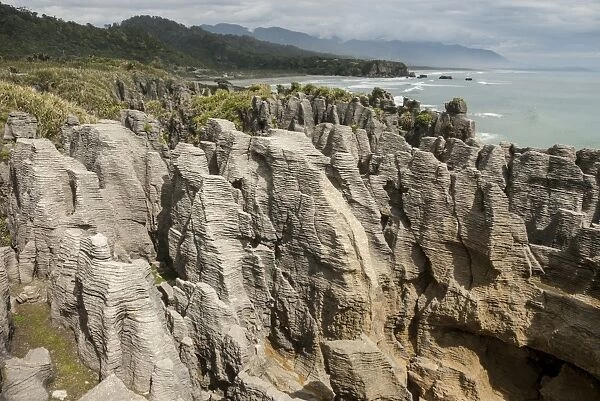 Thin-bedded Oligocene Cobden limestone, Punakaiki, Pancake Rocks, Greymouth, South Island