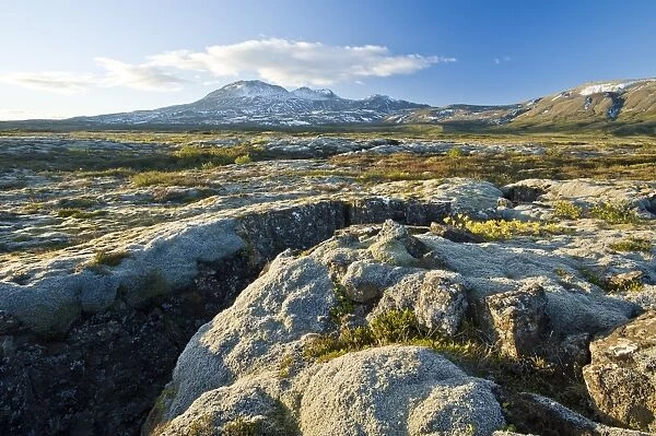 Thingvellir National Park, UNESCO World Heritage Site, Iceland, Polar Regions