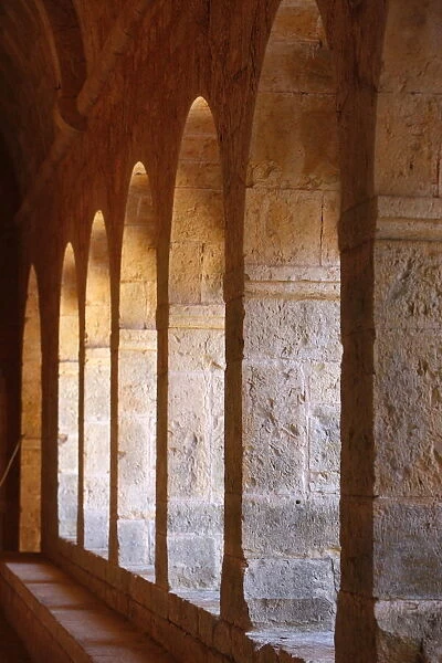 Thoronet abbey cloister, Thoronet, Var, Provence, France, Europe