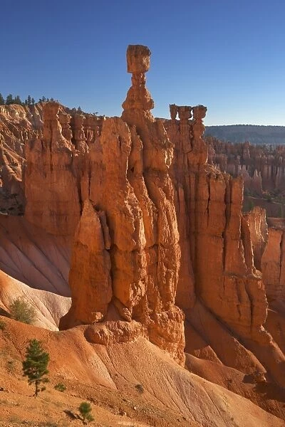 Thors Hammer in early morning from Sunset Point, Bryce Canyon National Park, Utah, United States of America, North America