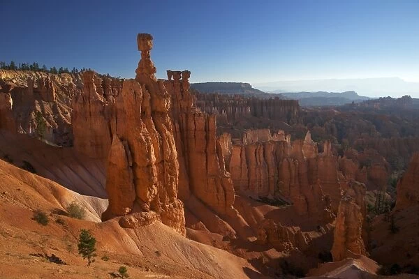 Thors Hammer in early morning from Sunset Point, Bryce Canyon National Park, Utah, United States of America, North America