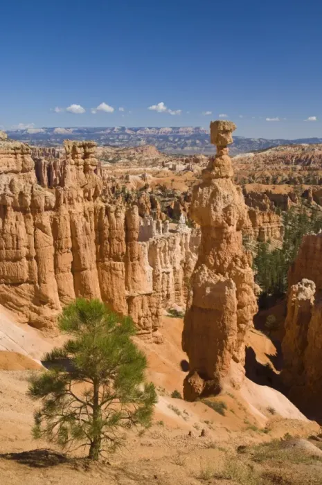 Framed Print : Thors Hammer, an iconic hoodoo on the Navajo trail, a hiking trail through Bryce Amphitheater