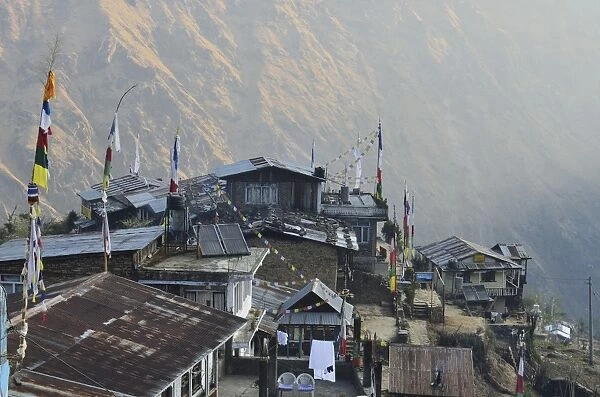 Thulo Syaphru (Khedi) village, Langtang National Park, Bagmati, Central Region (Madhyamanchal), Nepal, Himalayas, Asia