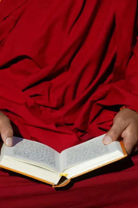 Framed Print : Tibetan monk reading, Paris, France, Europe Framed Print : Tibetan monk reading, Paris, France, Europe