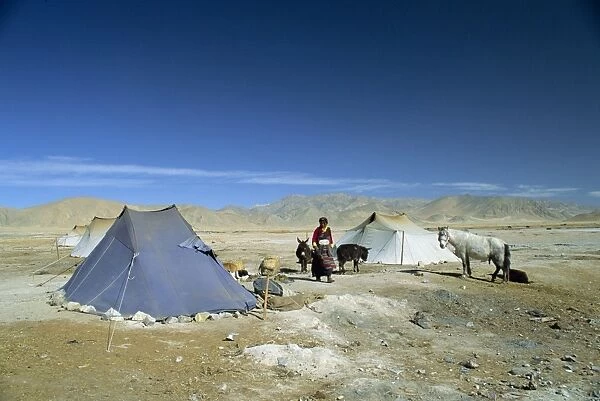 Tibetan nomads camp near Tingri in Tibet, China, Asia