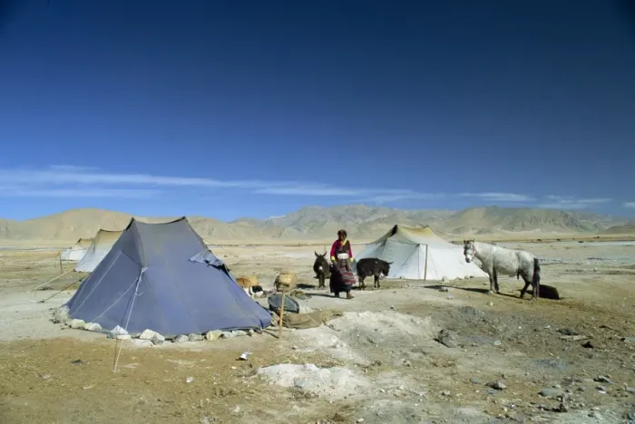 Framed Print : Tibetan nomads camp near Tingri in Tibet, China, Asia Framed Print : Tibetan nomads camp near Tingri in Tibet, China, Asia
