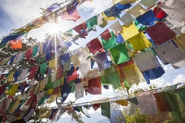 The Tibetan prayer flags made of colored cloth that are often hung on the top of