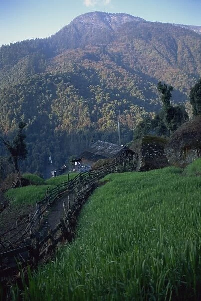 Tibetan village of Bakhim, Himalas, Sikkim, India, Asia