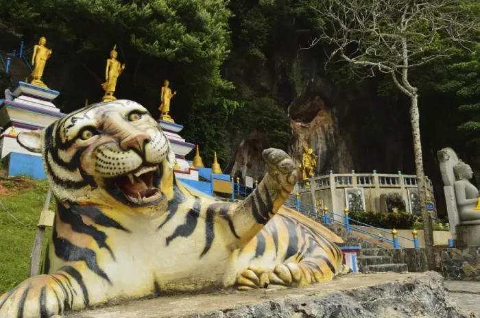 Framed Print : Tiger statue, Tiger Cave Temple (Wat Tham Suea), Krabi Province, Thailand, Southeast Asia, Asia Framed Print : Tiger statue, Tiger Cave Temple (Wat Tham Suea), Krabi Province, Thailand, Southeast Asia, Asia