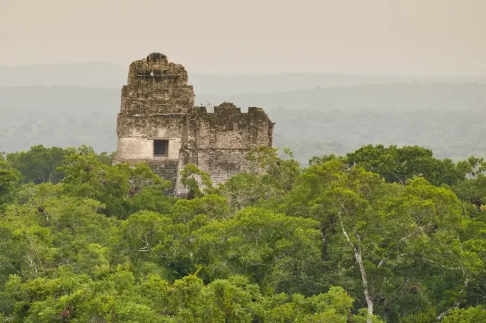 Framed Print : Tikal National Park (Parque Nacional Tikal), UNESCO World Heritage Site, Guatemala, Central America Framed Print : Tikal National Park (Parque Nacional Tikal), UNESCO World Heritage Site, Guatemala, Central America