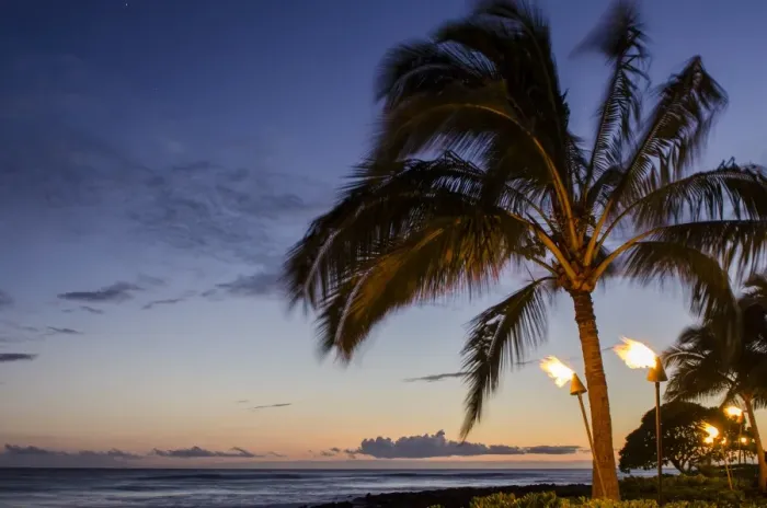Framed Print : Tiki torches at sunset on Poipu Beach, Kauai, Hawaii, United States of America, Pacific Framed Print : Tiki torches at sunset on Poipu Beach, Kauai, Hawaii, United States of America, Pacific