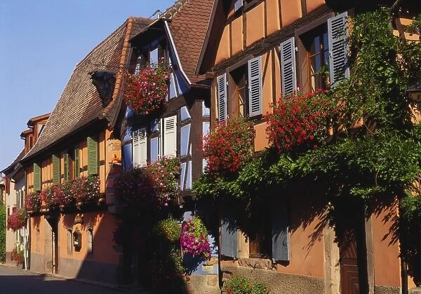 Timber Framed Houses in Niedermorschwihr, Alsace, France