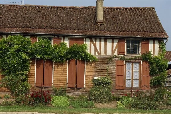 Timbered cottage with small garden at Chatillon sur Broue in Champagne, France, Europe