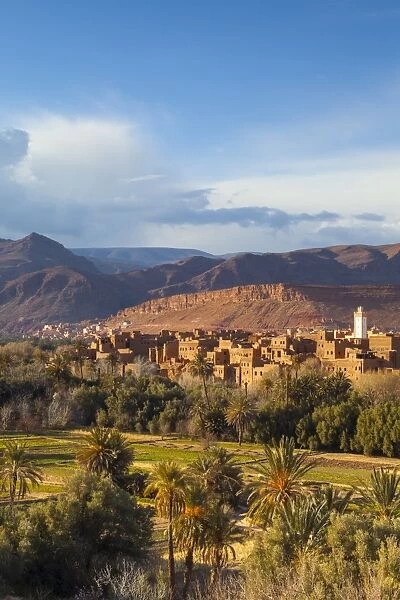 Tinerhir kasbahs and palmery, Tinghir, Todra Valley, Morocco, North Africa, Africa