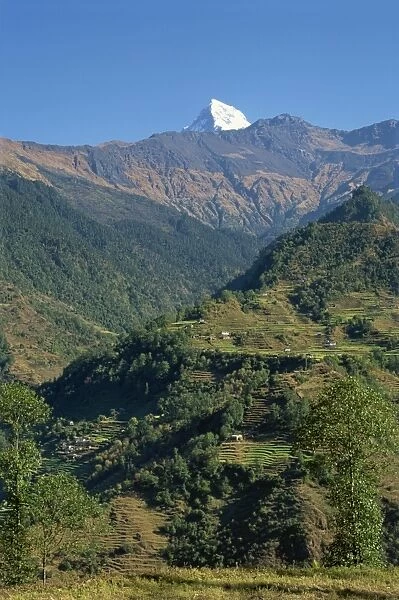 Tip of Annapurna South above terraced hills