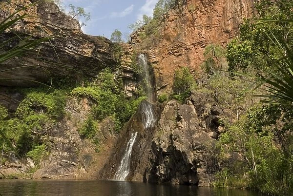 Tjaynera Falls and waterhole on Sandy Creek, Litchfield National Park, Northern Territory, Australia, Pacific