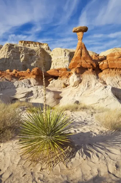 Framed Print : Toadstool Paria Rimrocks with yucca plant, near Kanab, Grand Staircase-Escalante National Monument, Utah, United States of America, North America Framed Print : Toadstool Paria Rimrocks with yucca plant, near Kanab, Grand Staircase-Escalante National Monument, Utah, United States of America, North America
