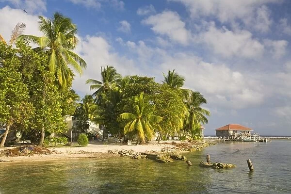 Tobaco Caye, Belize, Central America