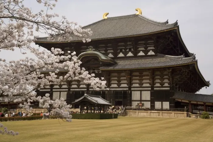 Framed Print : Todaiji temple, UNESCO World Heritage Site, Nara, Japan, Asia Framed Print : Todaiji temple, UNESCO World Heritage Site, Nara, Japan, Asia