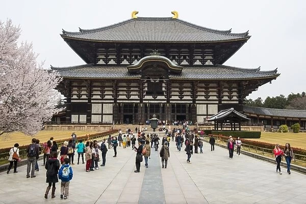 Todaiji Temple, UNESCO World Heritage Site, Nara, Kansai, Japan, Asia