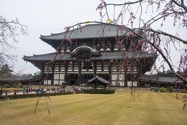 Todaiji Temple, UNESCO World Heritage Site, Nara, Kansai, Japan, Asia