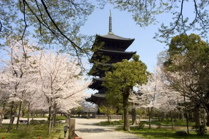 Framed Print : Toji pagoda Framed Print : Toji pagoda