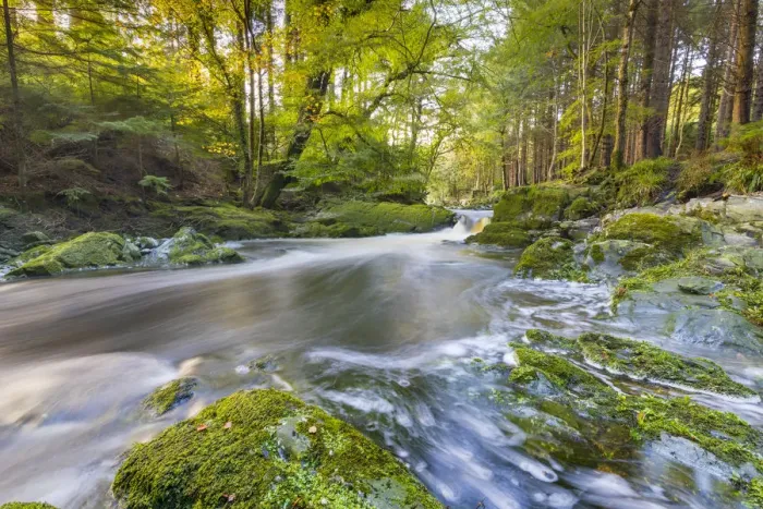 Framed Print : Tollymore Forest Park, Shimna River, County Down, Ulster, Northern Ireland Framed Print : Tollymore Forest Park, Shimna River, County Down, Ulster, Northern Ireland
