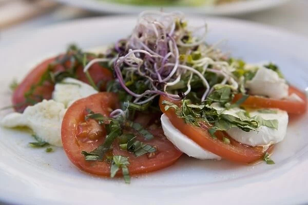 Tomato and Mozarella salad, Brussels, Belgium, Europe