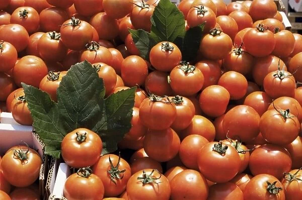 Tomatoes on market stall, Kingston-upon-thames, Surrey, England, United Kingdom, Europe