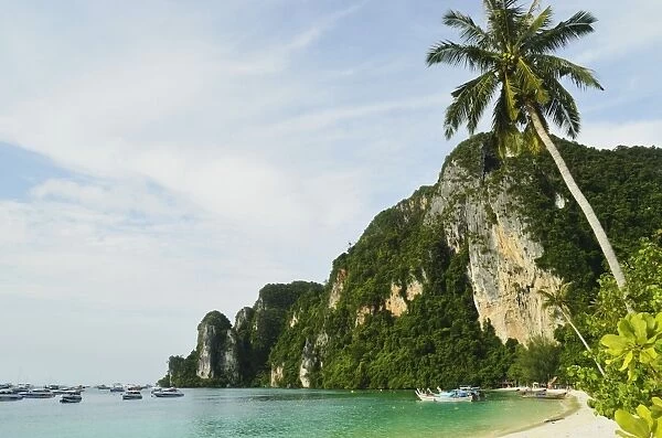 Ton Sai Bay, Ko Phi Phi, Krabi Province, Thailand, Southeast Asia, Asia