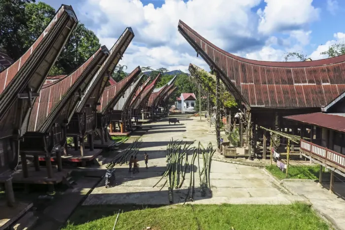 Framed Print : Tongkonan saddleback houses and rice barns inside family compound near Rantepao, La bo, Rantepao, Toraja, South Sulawesi, Indonesia, Southeast Asia, Asia Framed Print : Tongkonan saddleback houses and rice barns inside family compound near Rantepao, La bo, Rantepao, Toraja, South Sulawesi, Indonesia, Southeast Asia, Asia