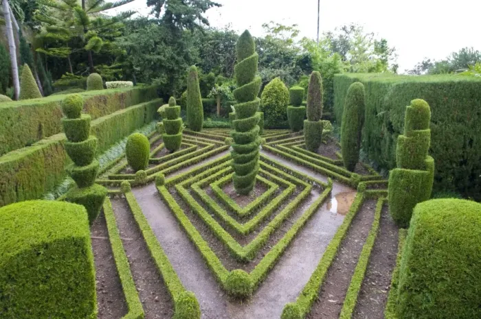 Framed Print : Topiary in formal garden, Botanical Garden, Funchal, Madeira, Portugal, Europe Framed Print : Topiary in formal garden, Botanical Garden, Funchal, Madeira, Portugal, Europe