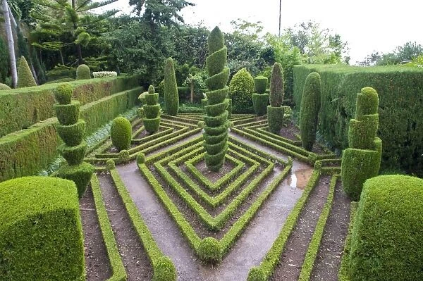 Topiary in formal garden, Botanical Garden, Funchal, Madeira, Portugal, Europe