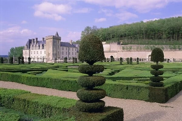 Topiary in formal gardens, Chateau of Villandry, UNESCO World Heritage Site