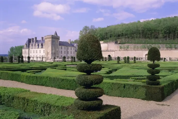 Framed Print : Topiary in formal gardens, Chateau of Villandry, UNESCO World Heritage Site Framed Print : Topiary in formal gardens, Chateau of Villandry, UNESCO World Heritage Site