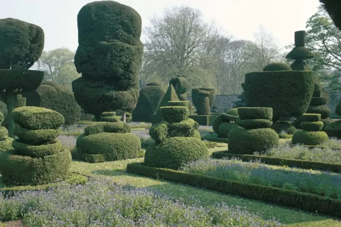Framed Print : Topiary, Levens Hall, Cumbria, England, United Kingdom, Europe Framed Print : Topiary, Levens Hall, Cumbria, England, United Kingdom, Europe