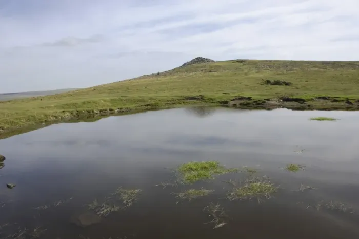 Framed Print : Tor and a moorland pond, Dartmoor National Park, Devon, England, United Kingdom, Europe Framed Print : Tor and a moorland pond, Dartmoor National Park, Devon, England, United Kingdom, Europe