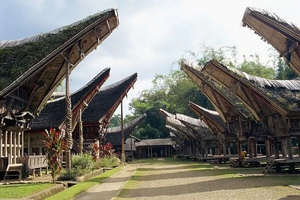 Toraja houses and granaries