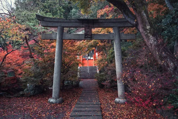 Framed Print : A torii gate in Bishamon-do Buddhist temple with autumn colors, Kyoto, Honshu, Japan, Asia Framed Print : A torii gate in Bishamon-do Buddhist temple with autumn colors, Kyoto, Honshu, Japan, Asia